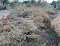 «Одна искра и все исчезнет»: морозовчане возмущены состоянием кладбища  