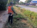«Только вместе мы сможем сделать город чистым»: в Морозовске активно продолжается покос травы 