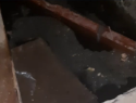 «Обнаружены полотенца и салфетки»: канализационные трубы прочистили на улице Зеленского 