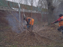 В Морозовске прошлись по сухим веткам, чтобы обезопасить людей и тротуары