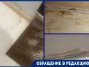 «Прошел дождь…»: жители дома на улице Зеленского жалуются на аварийную крышу после косметического ремонта