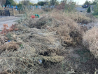 С кладбищ Морозовска за год было вывезено 700 кубометров мусора