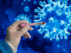 19 января: число заболевших коронавирусом в Морозовском районе увеличилось на восемь человек