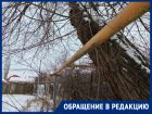 «Если рухнет - весь двор останется без газа»: морозовчане бьют тревогу из-за опасного дерева у жилого дома