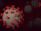Что известно о новом варианте коронавируса «Кракен» рассказали в региональном Управлении Роспотребнадзора