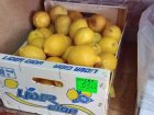 Лимонно-чесночный бум: цены на витаминные продукты в Морозовске выросли вдвое