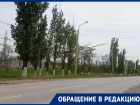 Огромный тополь завис на проводах над дорогой в Морозовске