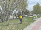 Городской парк Морозовска временно закроют для проведения обработки территории