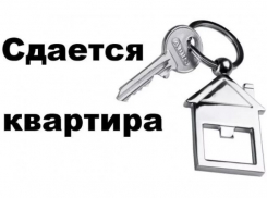 Сдается квартира в «Тексере» на длительный срок