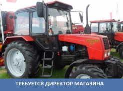 Требуется директор магазина сельхозтехники