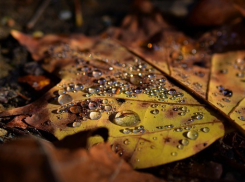 Дождь в Морозовске прекратится к утру