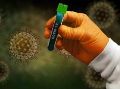 6 июня: в Морозовском районе выявлено три новых случая COVID-19