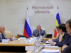 Совет по улучшению качества жизни дончан начнет работать в Ростовской области по поручению губернатора
