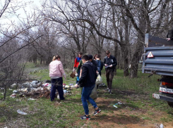 Пластиковые отходы, стеклянные бутылки и бытовой мусор убрали в лесу возле Морозовска