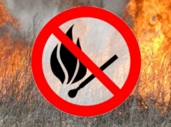 Высокая пожароопасность сохранится в большинстве районов Ростовской области