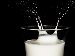 4,6% проб молочной продукции в Ростовской области оказались фальсификатом