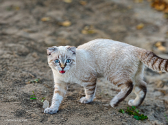 По ощущениям «минус»: о погоде в первый день октября 