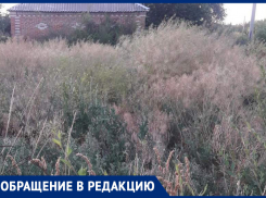 Заросших и брошенных дворов в Морозовске оказалось очень много
