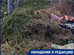 «Ждем пожар на Северном кладбище?»: горожане показали горы мусора 