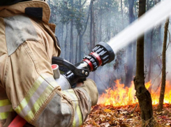 Экстренное предупреждение о чрезвычайной пожароопасности пришло из ГУ МЧС России по Ростовской области