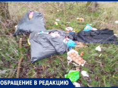 Мусор вывозят в лесополосу рядом с техникумом! - морозовчанка