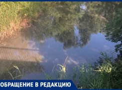 Канализационная вонь с белыми жирными разводами распространилась на много километров, - морозовчанка о реке Быстрой