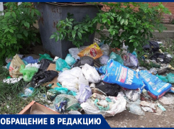 Живет весь город в траве и мусоре! - морозовчанка