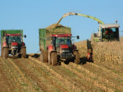 В Морозовске руководитель сельскохозяйственного кооператива совершил кражу на общую сумму 1,5 миллиона рублей 