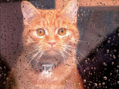 Погода не радует: Даем пять действенных способов избавиться от осенней депрессии