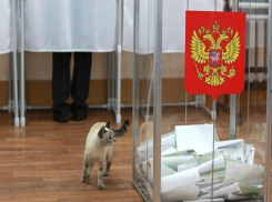 По итогам выборов только три парламентские партии в Ростовской области смогли преодолеть барьер в 5%