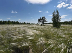 Выходные дни в Морозовске станут немного прохладнее