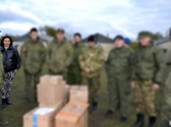 Детские рисунки и письма со словами поддержки доставила концертная бригада морозовского Дома офицеров мобилизованным военнослужащим  