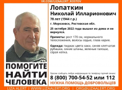 Поисками пропавшего в Морозовске дедушки занялись поисковики «Лиза Алерт»