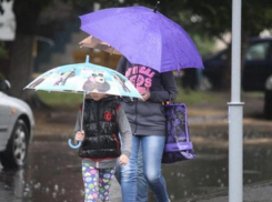 Похолодание и дождь ожидают морозовчан в воскресенье, 26 мая