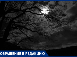 Недолго до беды! – морозовчанка об отсутствии освещения в районе моста через реку Быстрая