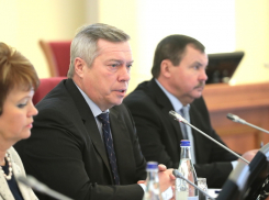 Мы не можем прекратить выплату регионального материнского капитала, - губернатор Ростовской области