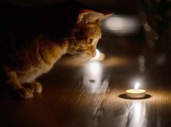 Некоторые морозовчане снова останутся без электричества на несколько часов