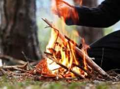 Морозовчанам и всем дончанам запретили ходить в лес