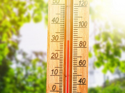 До +31 градуса в тени обещают морозовчанам в пятницу, 3 июня