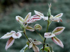 Переменную облачность и до +16 градусов тепла обещают морозовчанам в четверг, 26 сентября