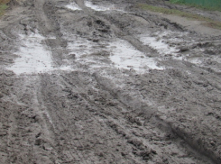 Пилотные программы развития тротуарной сети и асфальтирования грунтовок наконец-то собрались разрабатывать в Ростовской области