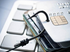 «Фишинг» набирает обороты: морозовчан предупредили об интернет-мошенничестве