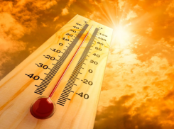 До +32 градусов в тени прогнозируют морозовчанам в середине недели