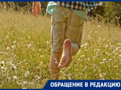 Бурьян и глухомань: морозовчанин возмутился, что многие детские площадки в городе снесли, ничего не установив взамен