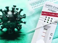 «Арктур»: всплеск распространения сверхзаразного штамма коронавируса ожидается в  России в конце мая
