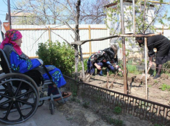 Многолетние цветущие растения высадили перед окнами домов ветеранов сотрудники администрации и дома культуры Морозовского района