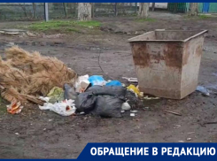 «Может надо начать что-то делать?»: морозовчанин показал нелегальную свалку и жестко высказался о работе администрации