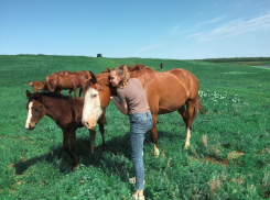 Победительницей конкурса «Моё лето» стала милая девушка, выложившая фото с лошадьми