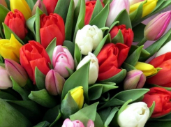 Нужны цветы к празднику? Заходи в Справочник 