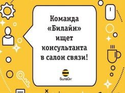 Работай в «Билайн»! В салоне связи открыта вакансия «Консультант» 